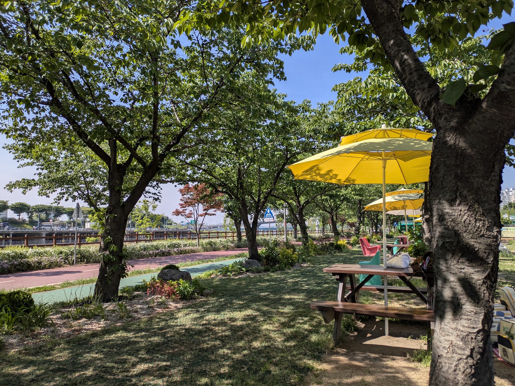 A shady Seoul park with picnic tables under trees