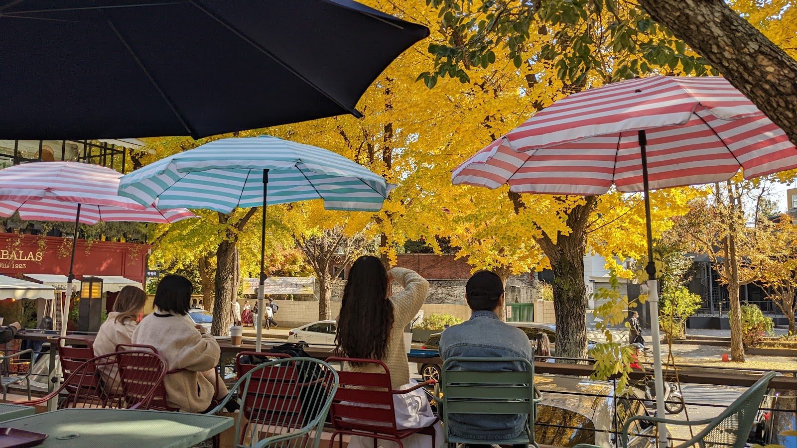 Neighbours at an outdoor café under ginkgo trees