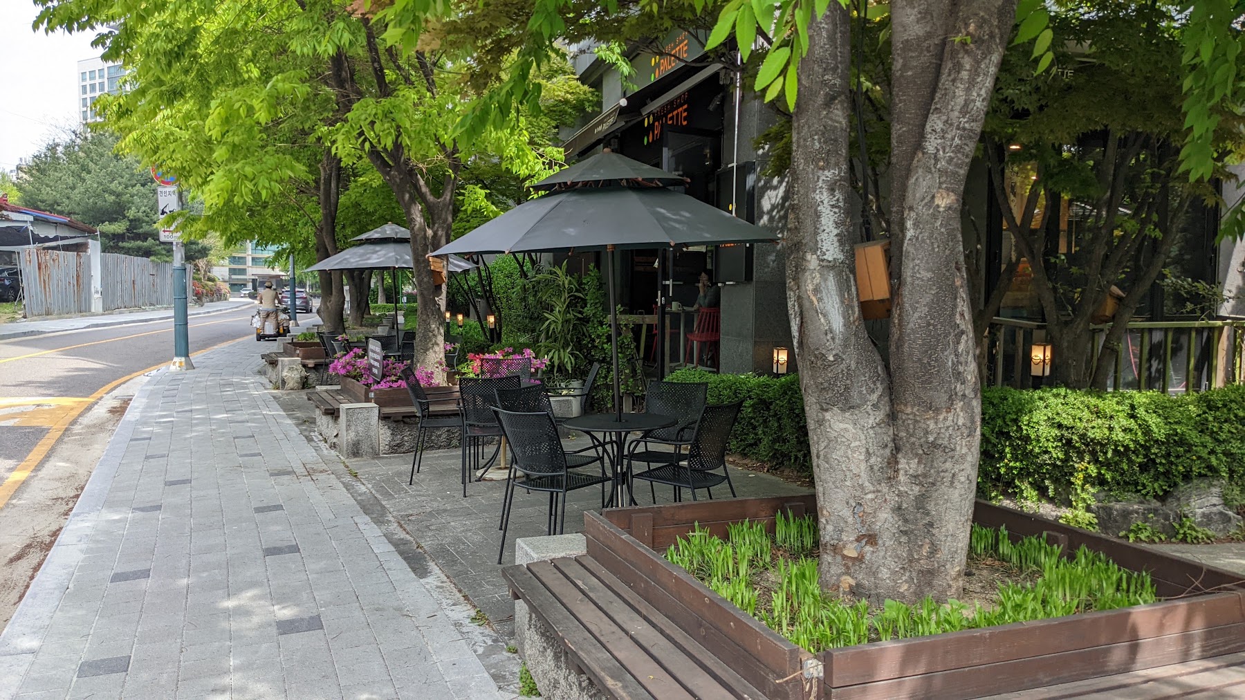 A tree-lined Seoul neighbourhood pavement